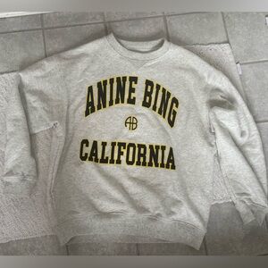 Anine bing sweatshirt